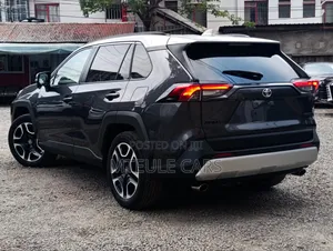 Toyota RAV4 Adventure AWD 2020 Gray