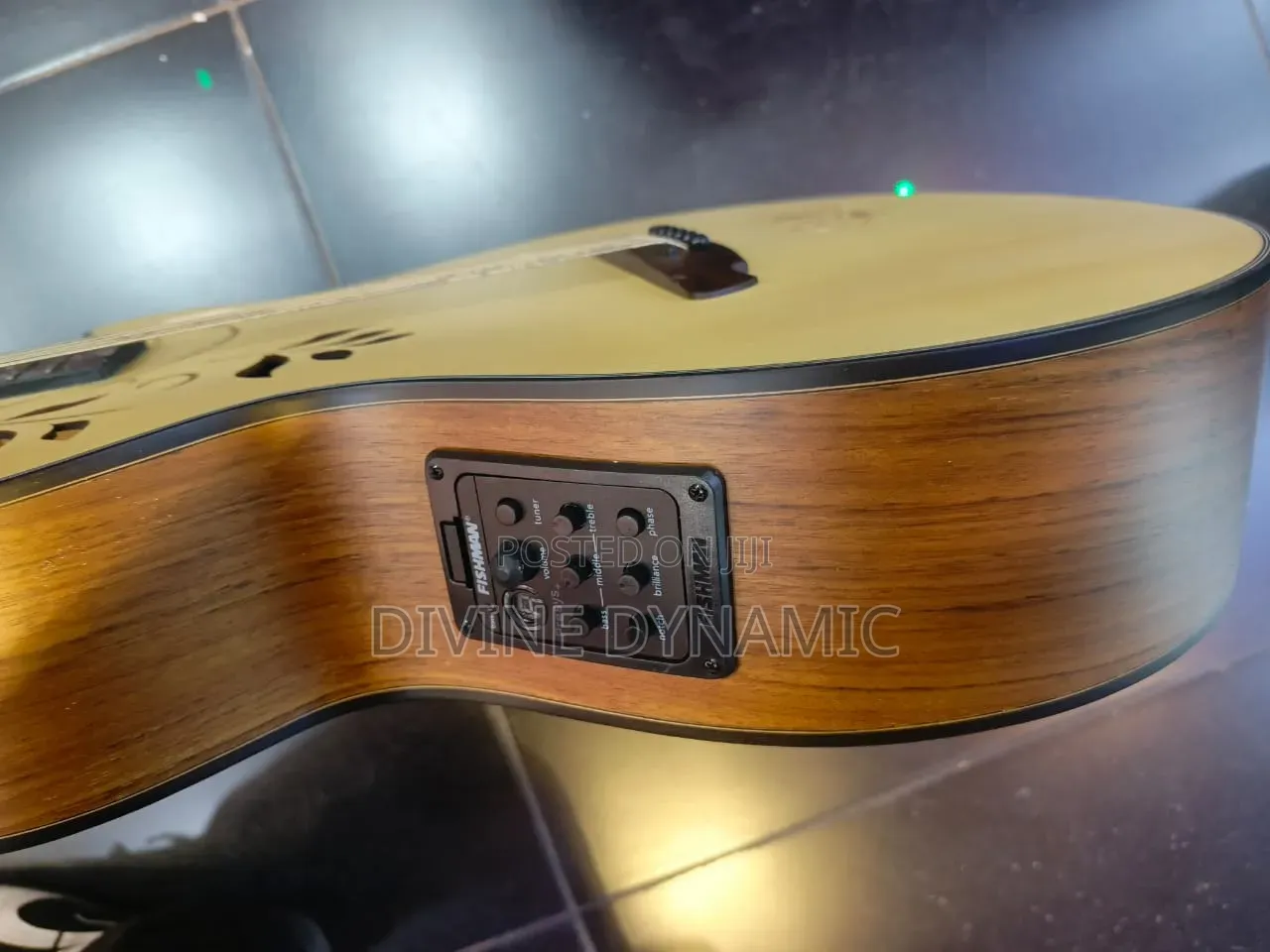 Happy Semi Acoustic Guitar