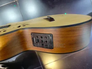 Happy Semi Acoustic Guitar