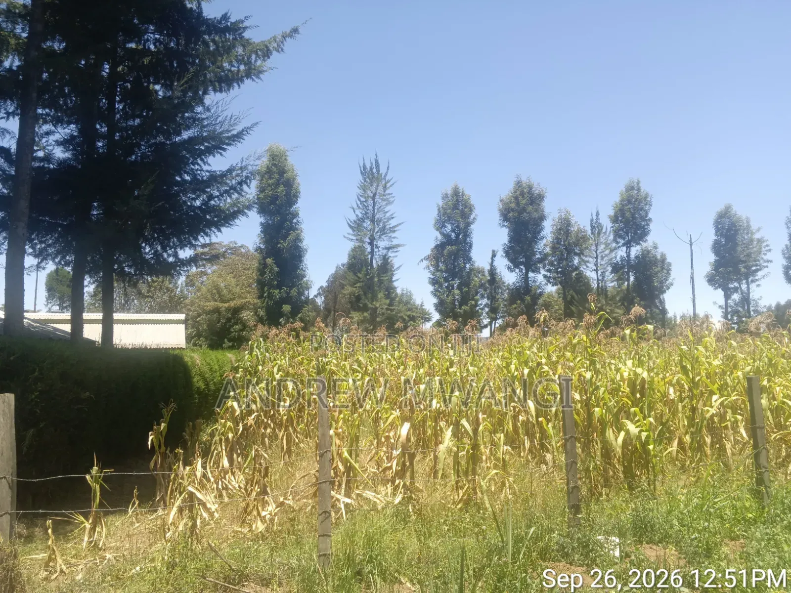 Plot for Sale