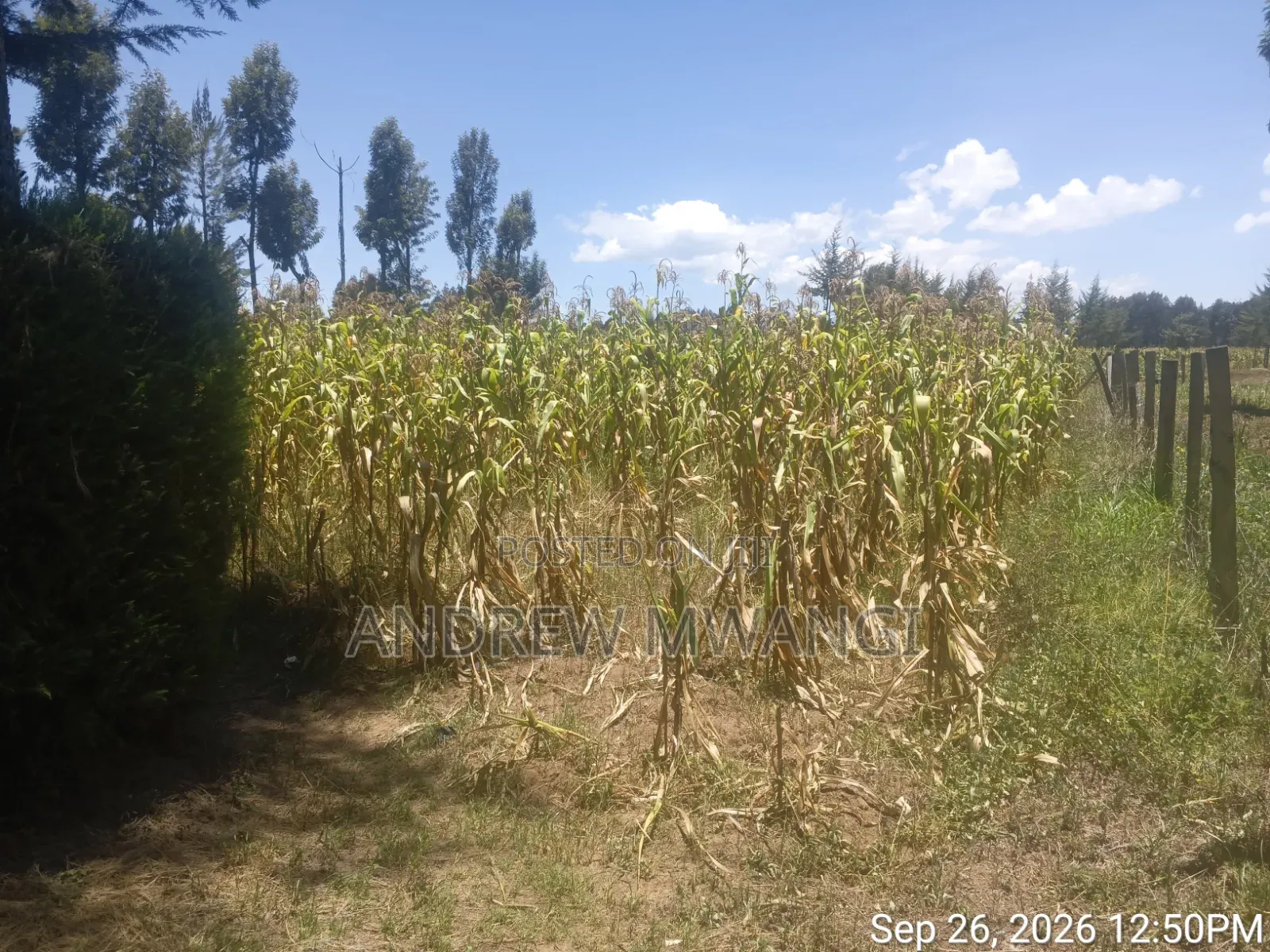 Plot for Sale
