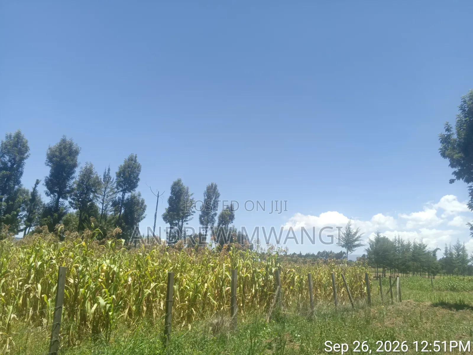 Plot for Sale
