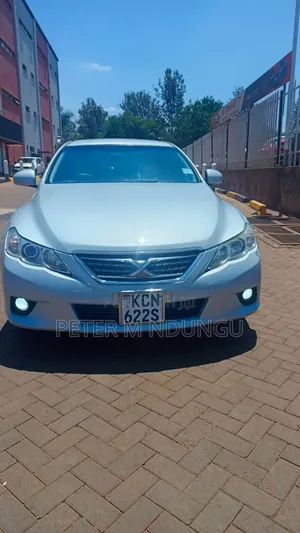 Toyota Mark X 2011 Gray