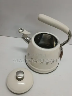Whistling Stainless Steel Kettle,Capacity: 3.5L