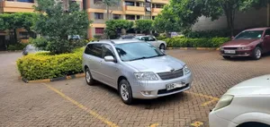 Toyota Corolla Fielder 2008 Silver