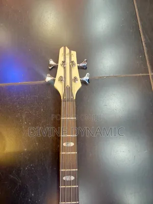 Christian Heritage 4 Strings Bass Speaker