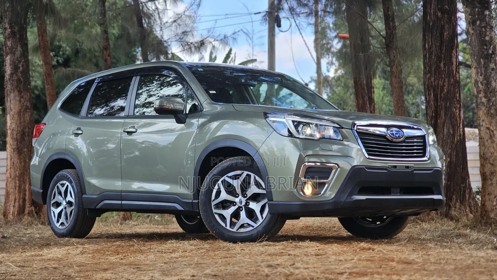 Subaru Forester Base AWD 2019 Green