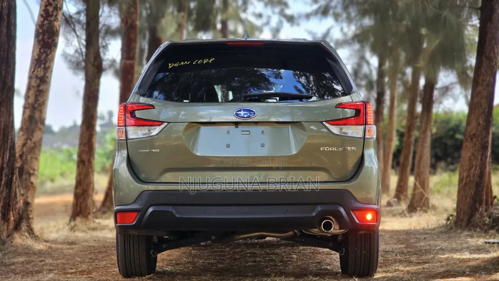 Subaru Forester Base AWD 2019 Green