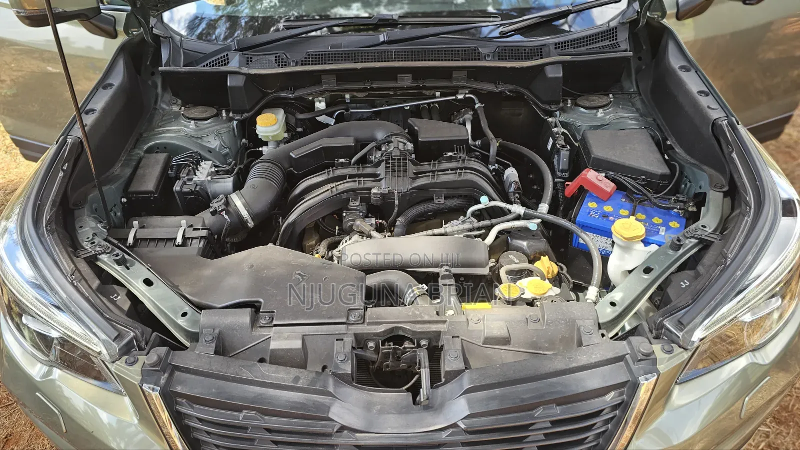 Subaru Forester Base AWD 2019 Green