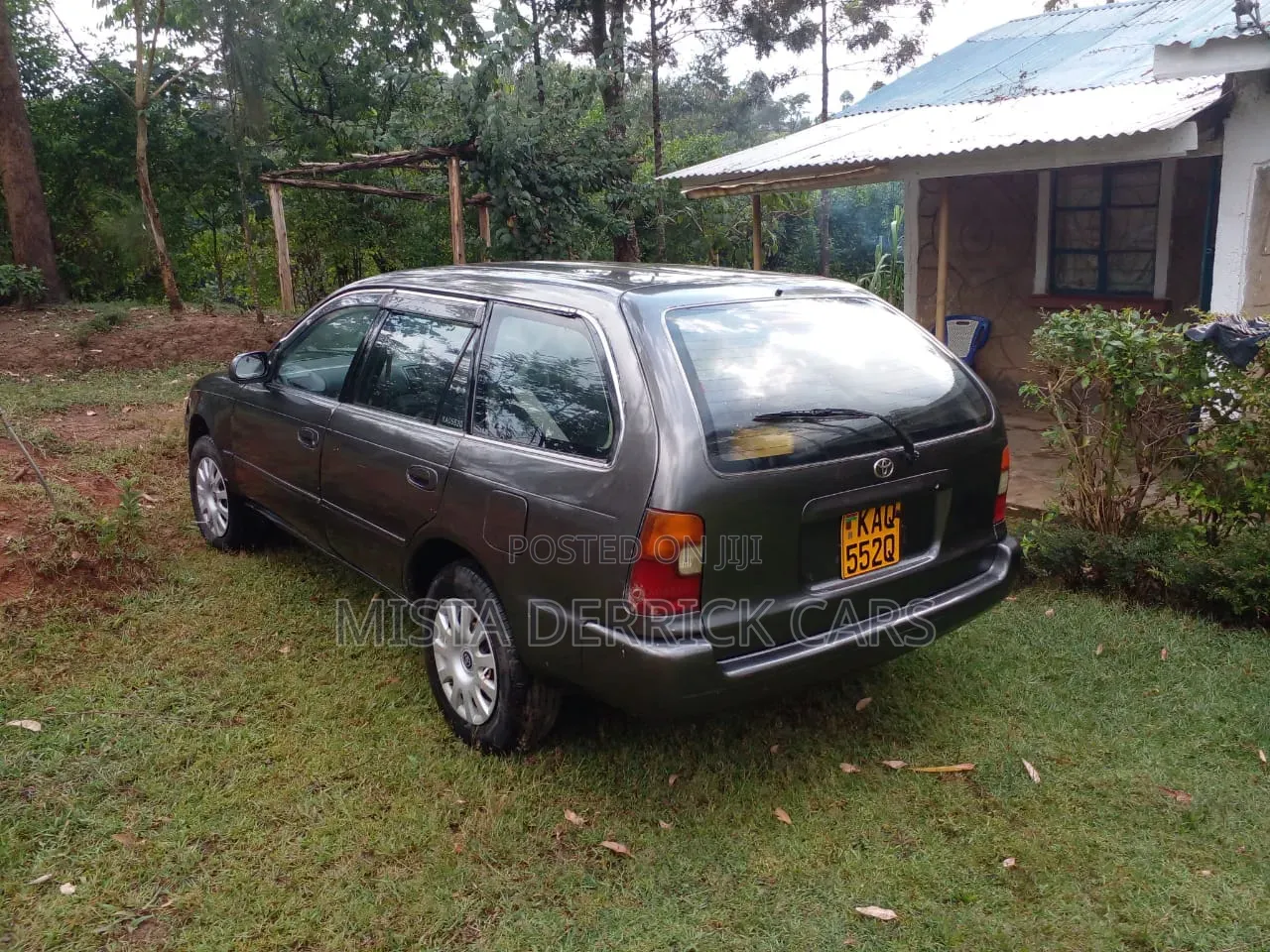 Toyota Corolla 1999 Gray