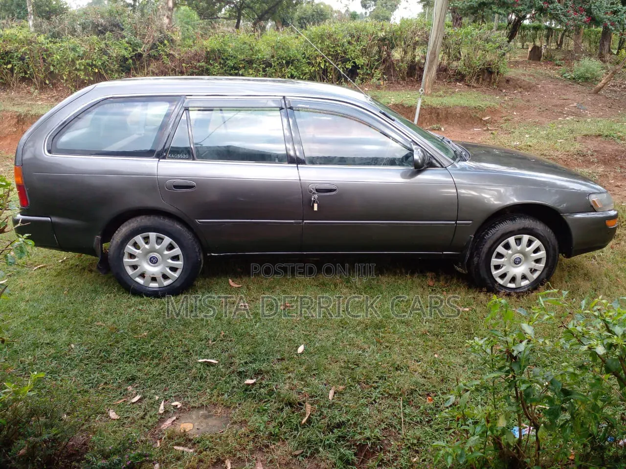 Toyota Corolla 1999 Gray