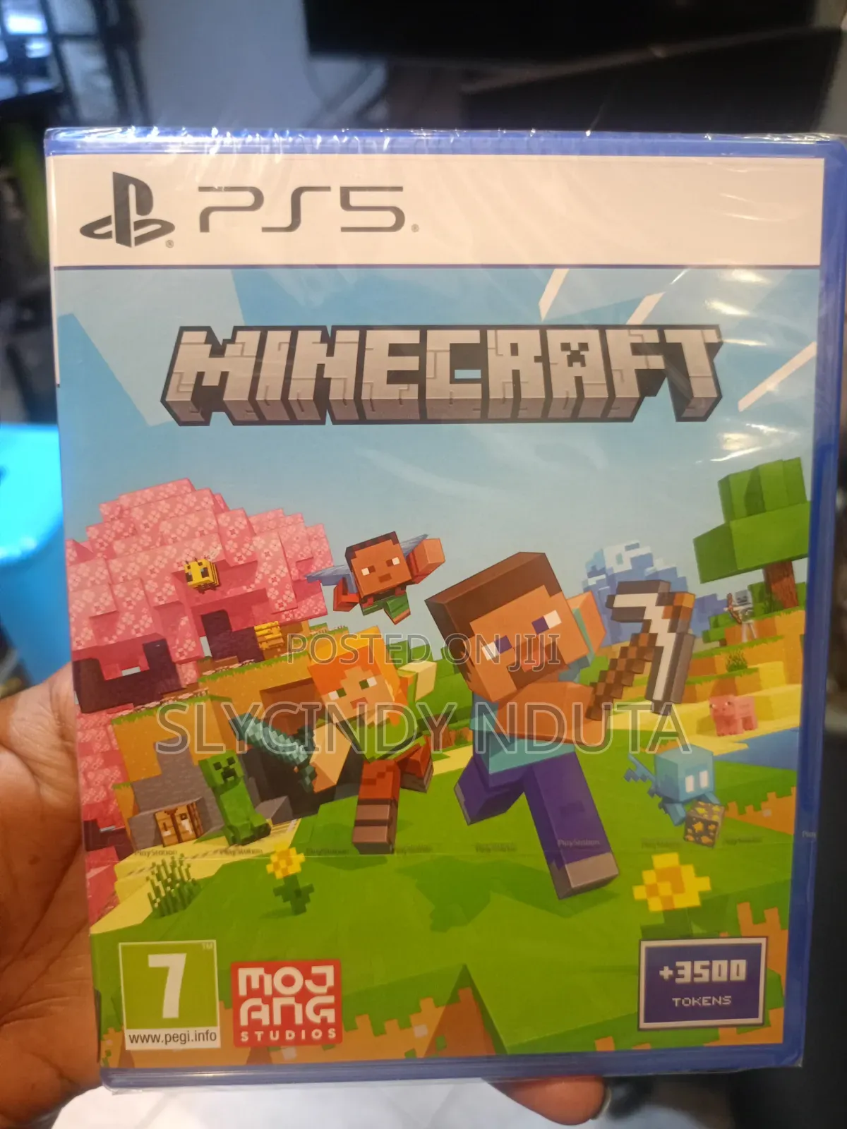 Ps5 Minecraft