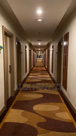 Alex Job Vacancy