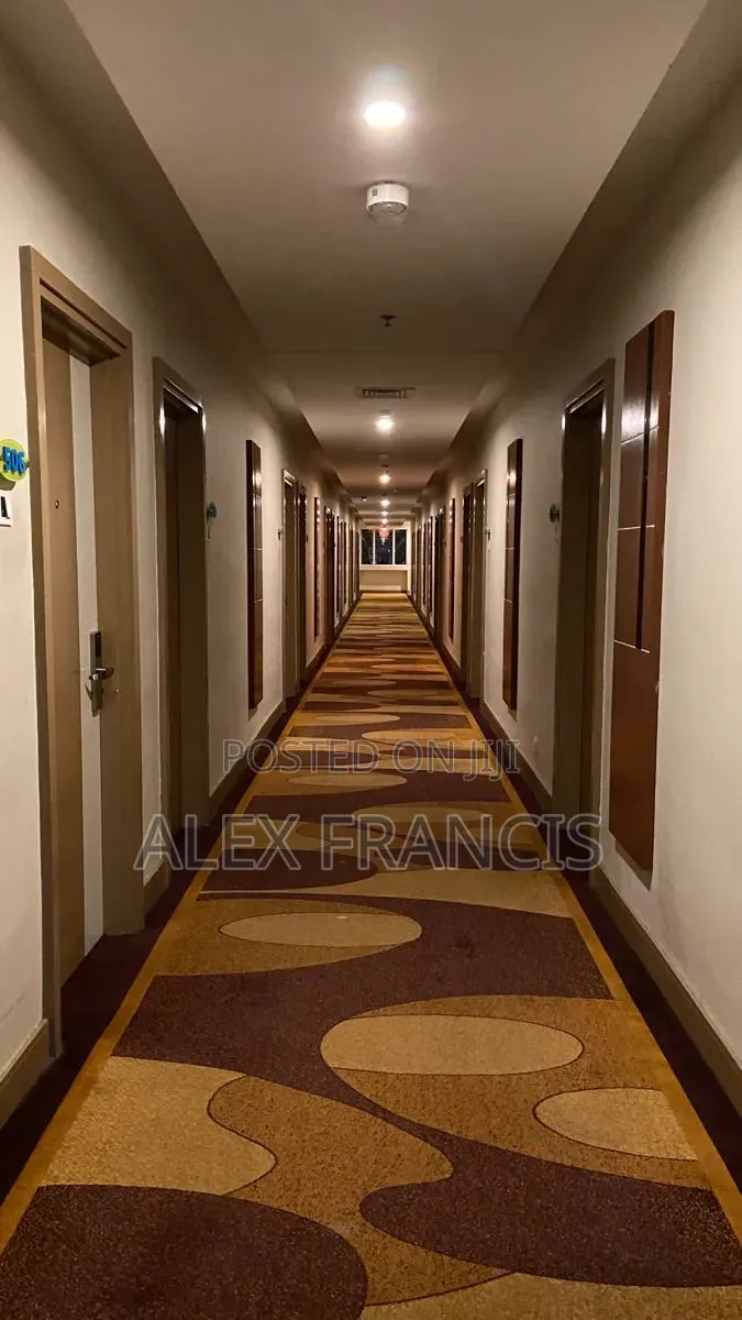 Alex Job Vacancy