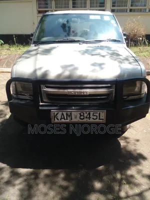 Isuzu Trooper 1999 Gold