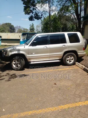 Isuzu Trooper 1999 Gold