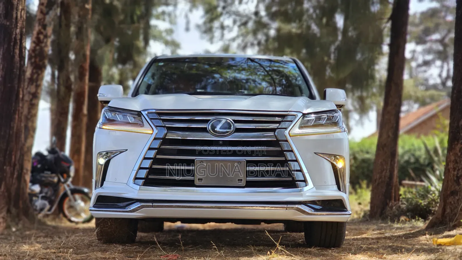 Lexus LX 570 AWD 2019 White