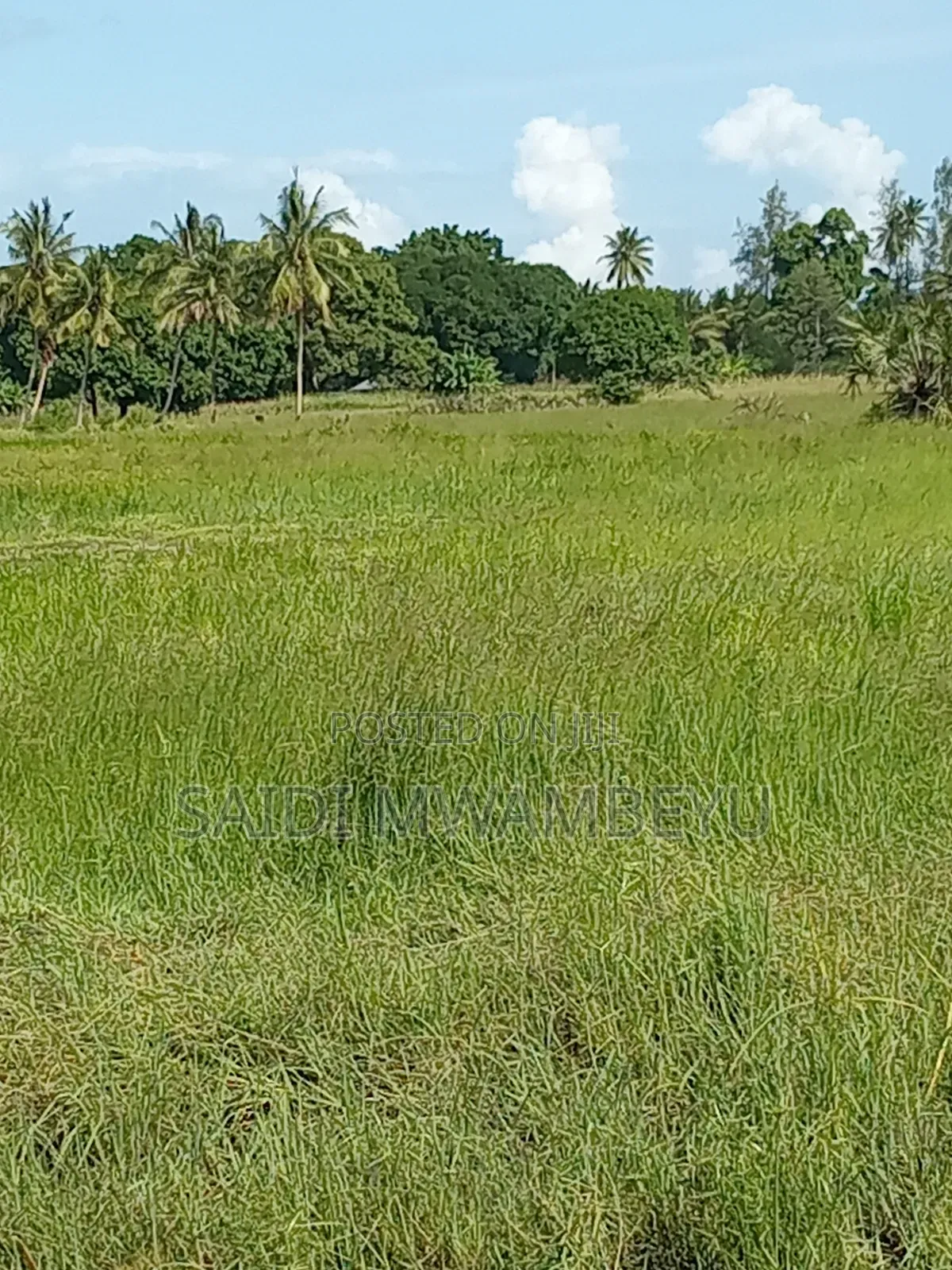Lands and Plots for Sale