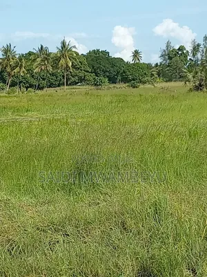 Lands and Plots for Sale