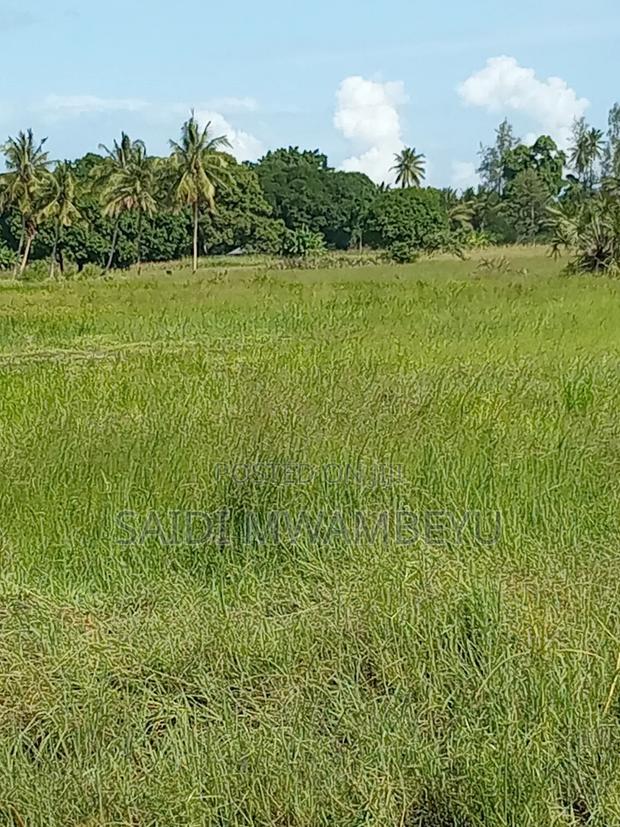 Lands and Plots for Sale