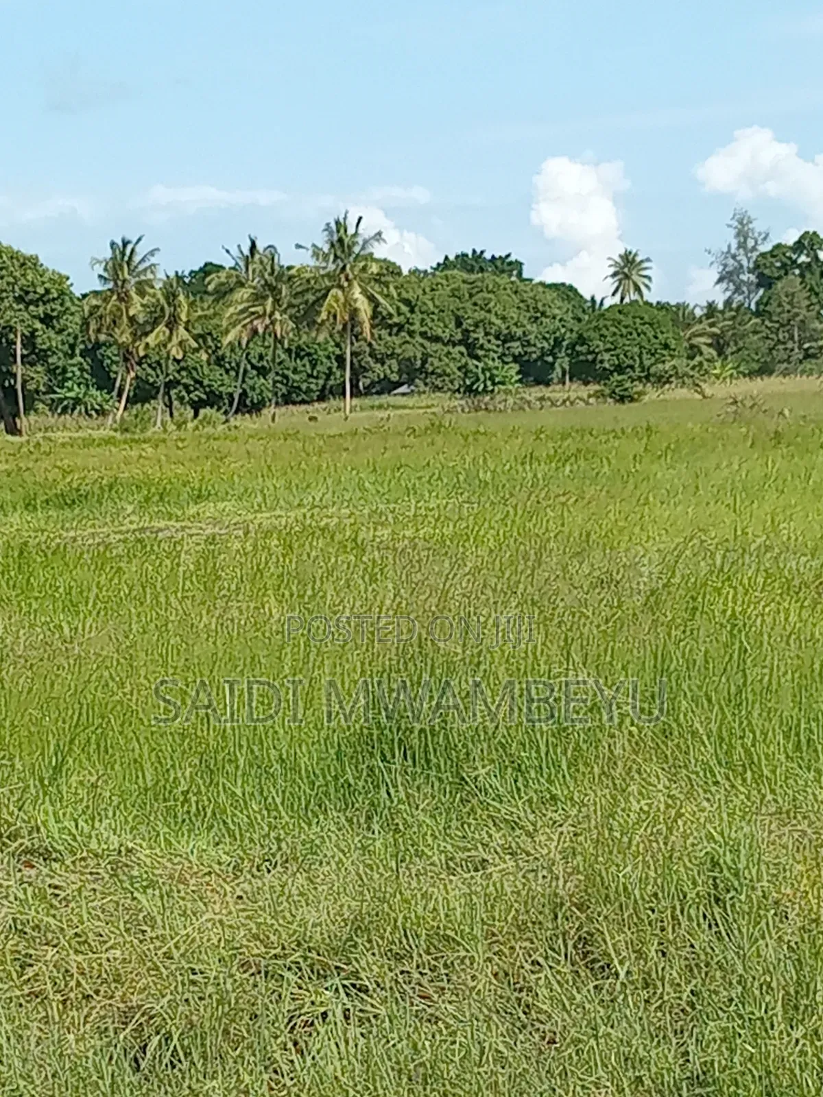 Lands and Plots for Sale