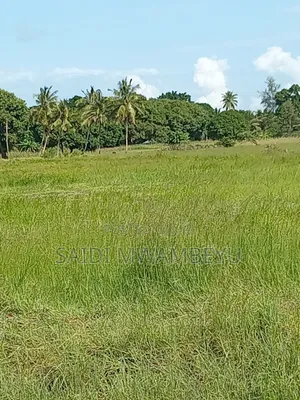 Lands and Plots for Sale