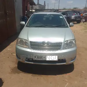 Toyota Corolla Fielder 2005 Silver