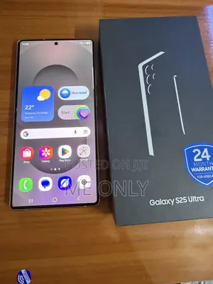 Samsung Galaxy S25 Ultra 256 GB Gray