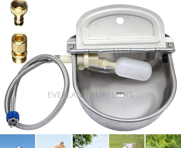 Cattle Automatic Stainless Drinker - main view