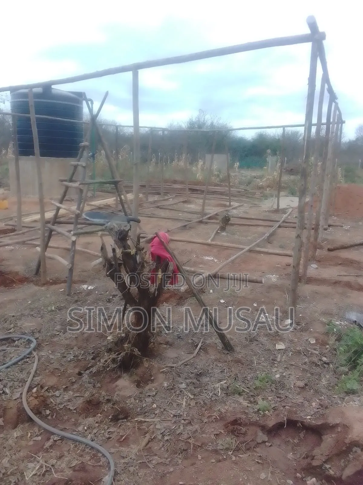 Borehole Drilling and Soler Installation