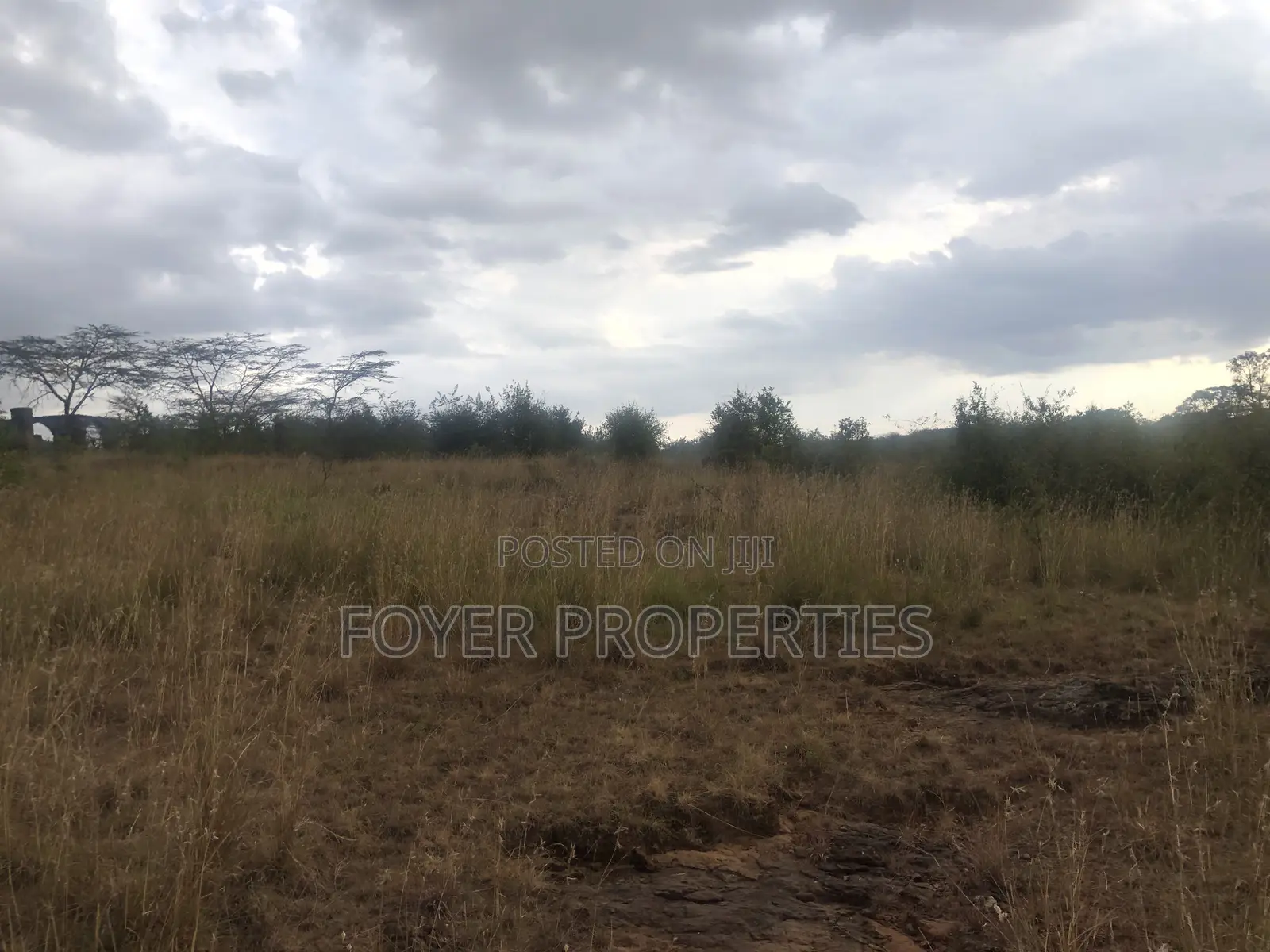 Pristine 8 Acres, Next to Nairobi National Park