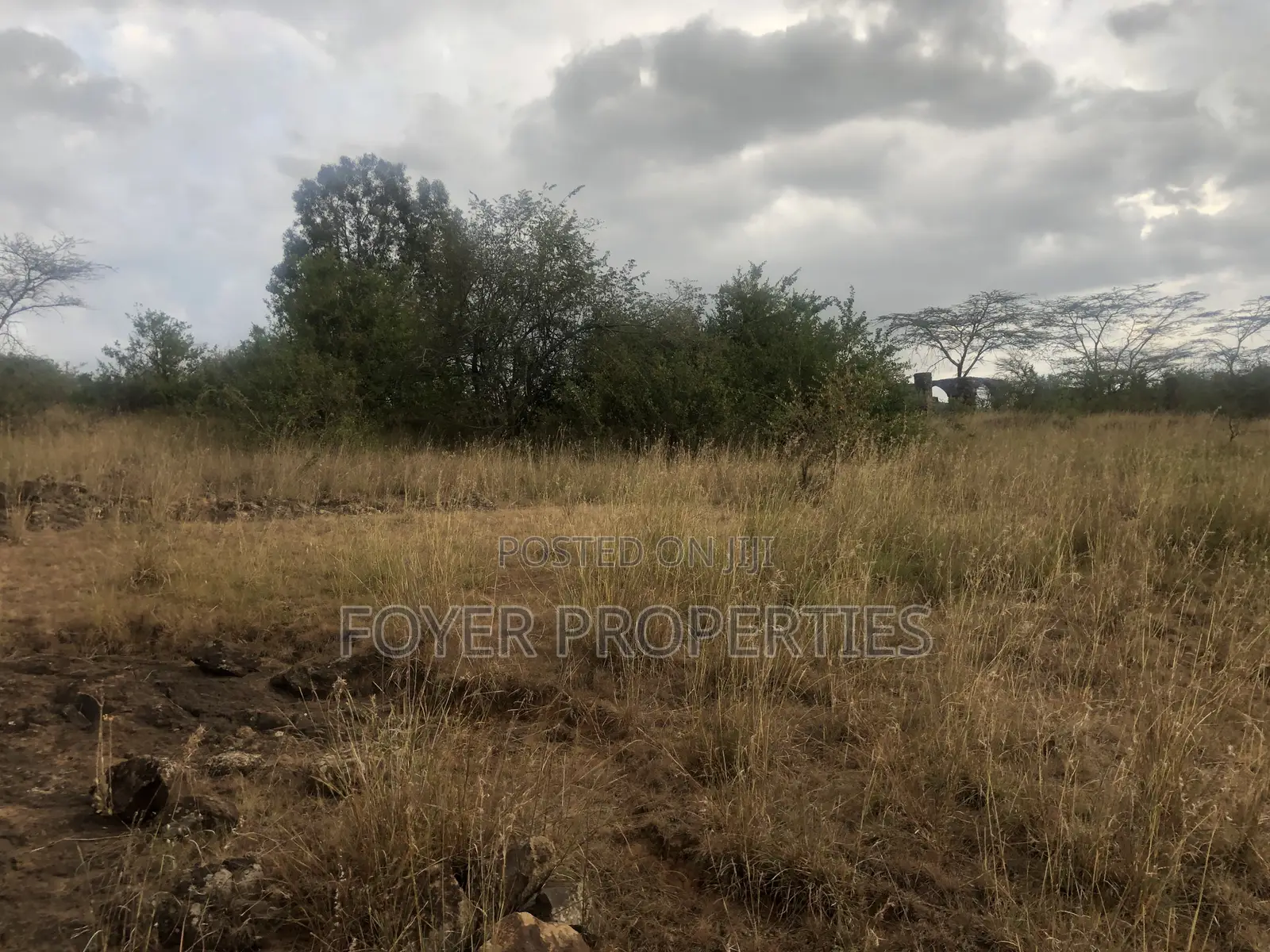 Pristine 8 Acres, Next to Nairobi National Park