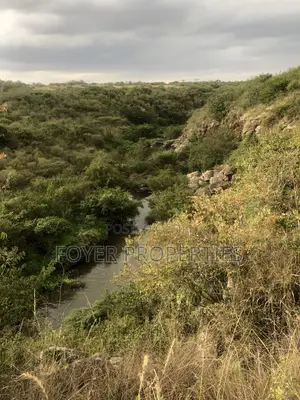 Pristine 8 Acres, Next to Nairobi National Park