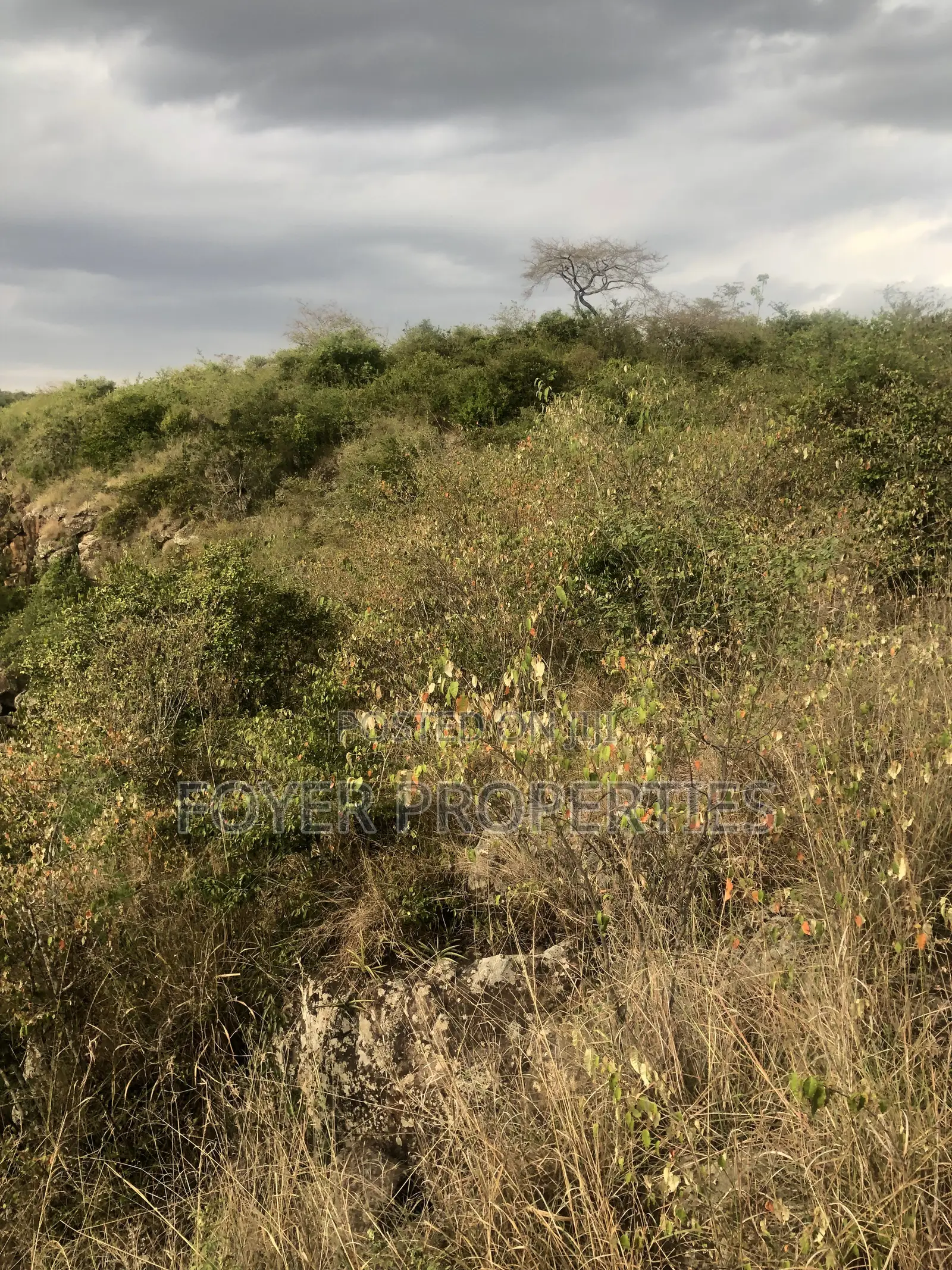 Pristine 8 Acres, Next to Nairobi National Park