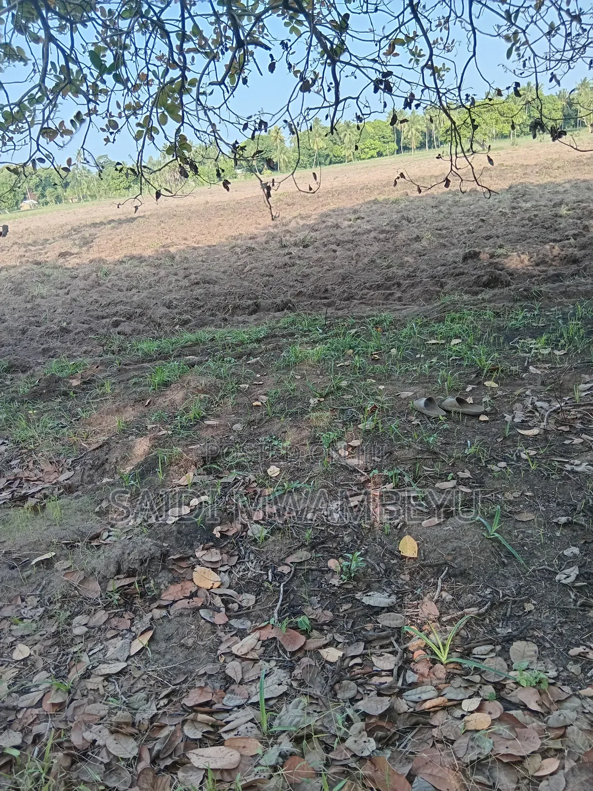 Land and Plots for Selling