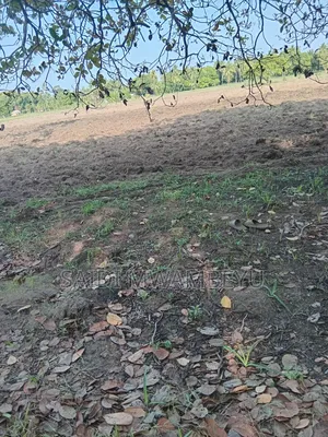 Land and Plots for Selling