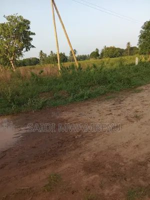 Land and Plots for Selling