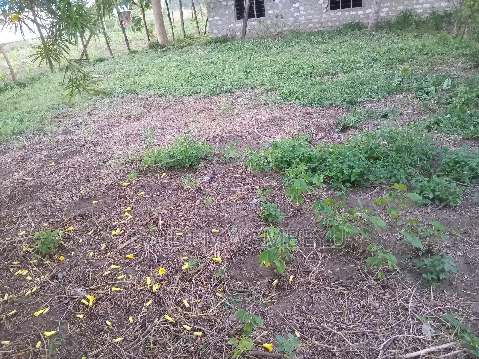 Land and Plots for Selling