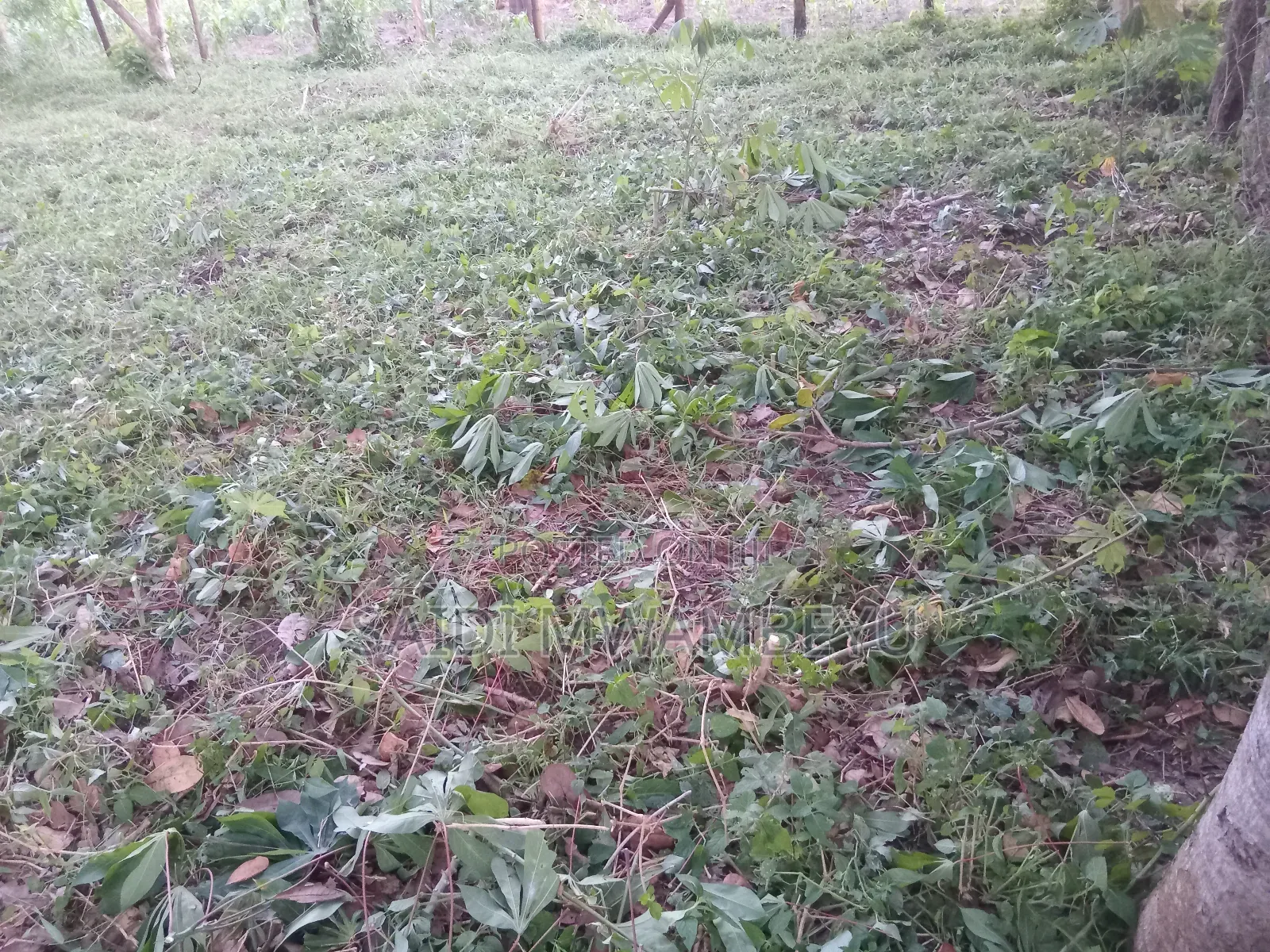 Land and Plots for Selling