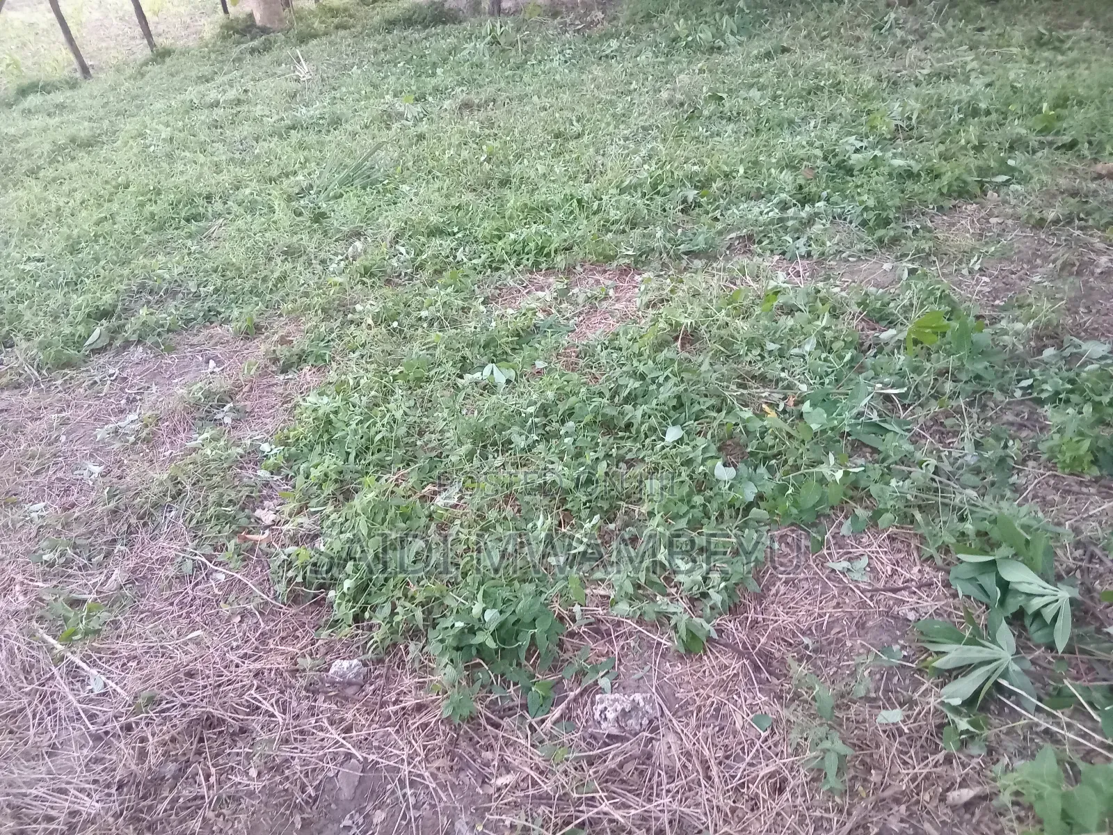 Land and Plots for Selling