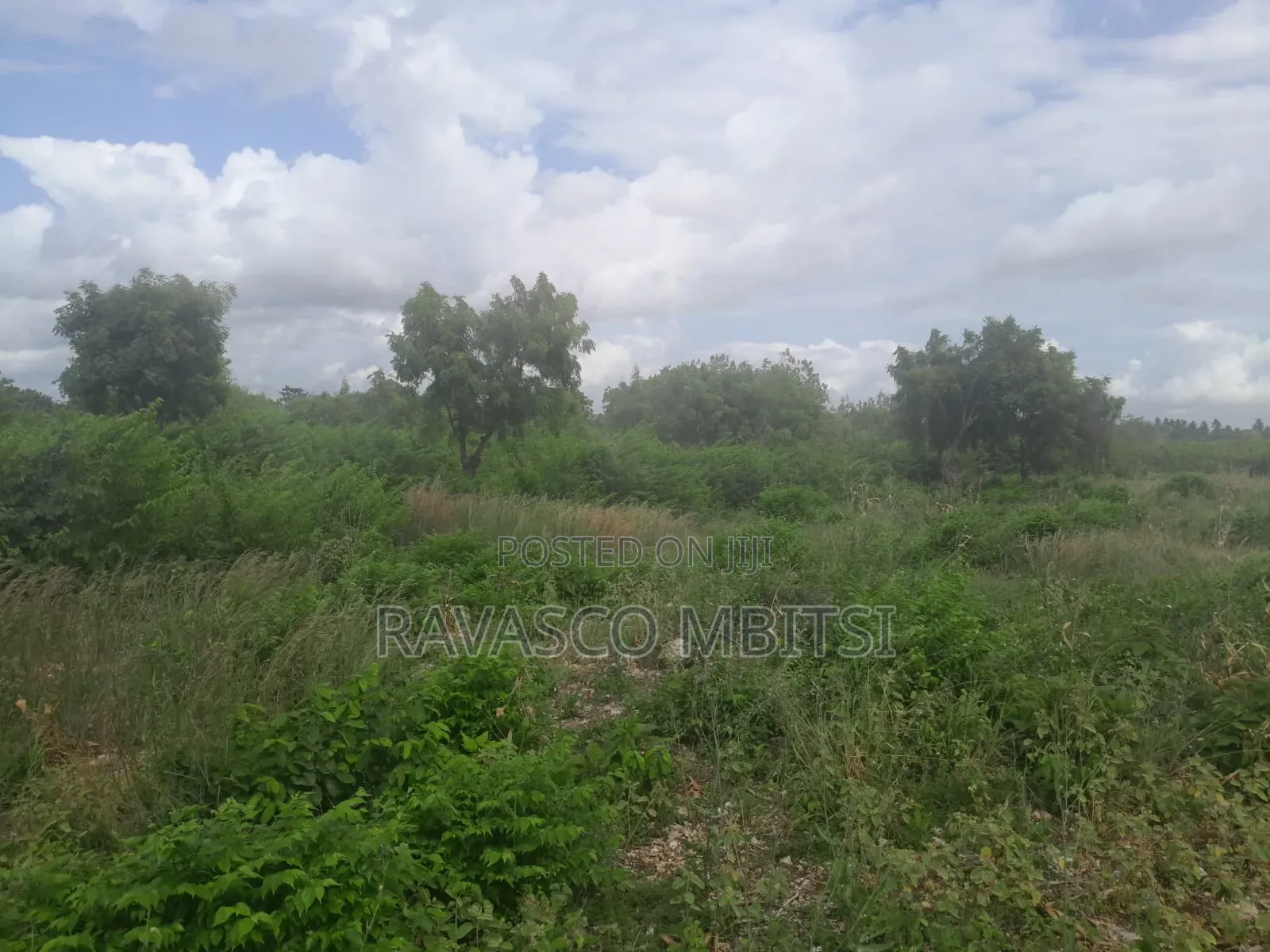 2 Acres Forsale in Kilifi Tezo Kituoni, 1 Km From the Beach