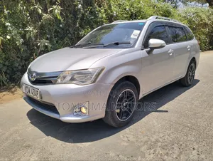 Toyota Corolla Fielder 2013 Silver