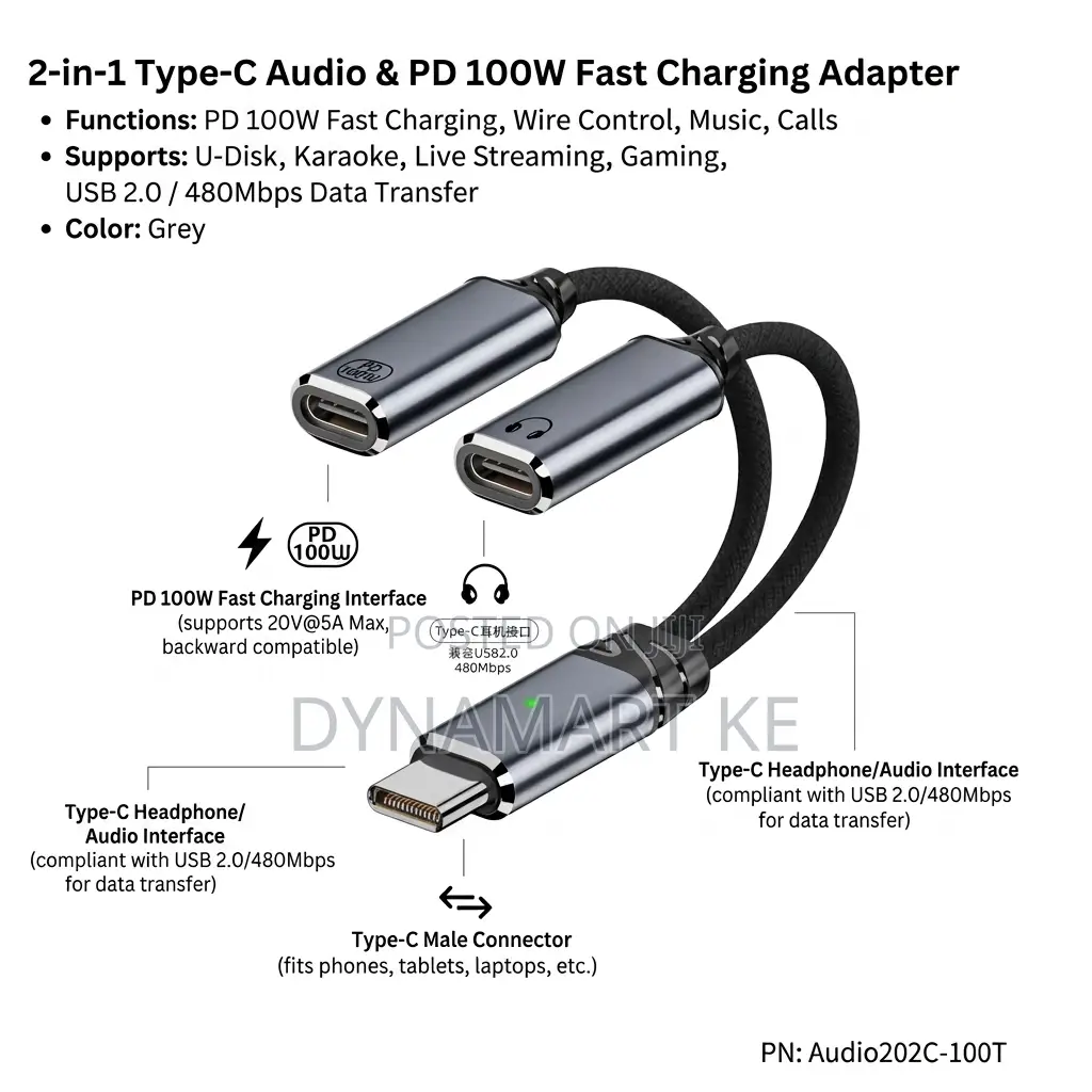 Type-C to Dual Type-C Adapter – PD 100W Fast Charging Hi-Fi Audio