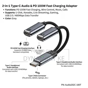 Type-C to Dual Type-C Adapter – PD 100W Fast Charging Hi-Fi Audio