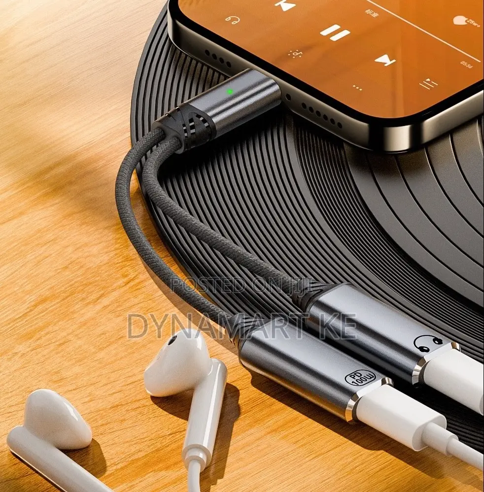 Type-C to Dual Type-C Adapter – PD 100W Fast Charging Hi-Fi Audio