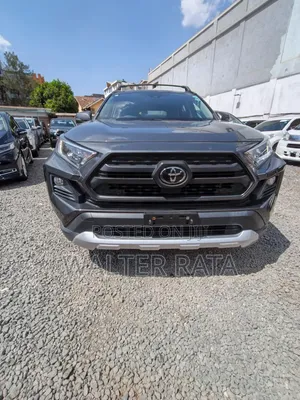 Toyota RAV4 Adventure AWD 2020 Gray
