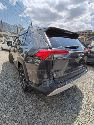 Toyota RAV4 Adventure AWD 2020 Gray
