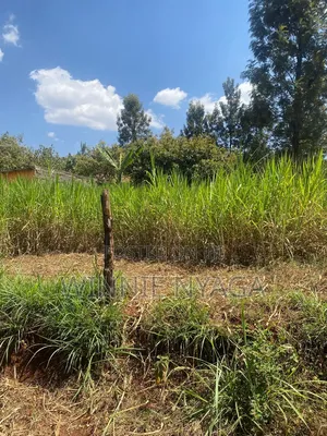 Land for Sale. 50×100 at Kenyatta Road, Juja (Gatundu Road).