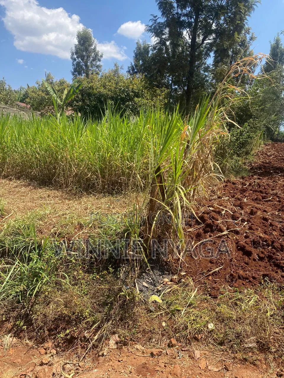 Land for Sale. 50×100 at Kenyatta Road, Juja (Gatundu Road).