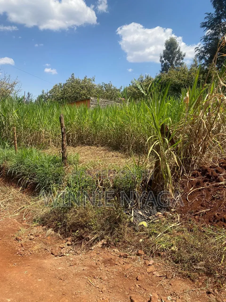 Land for Sale. 50×100 at Kenyatta Road, Juja (Gatundu Road).